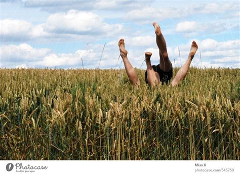 Naked in Fields. . Sex in cornfield pictures